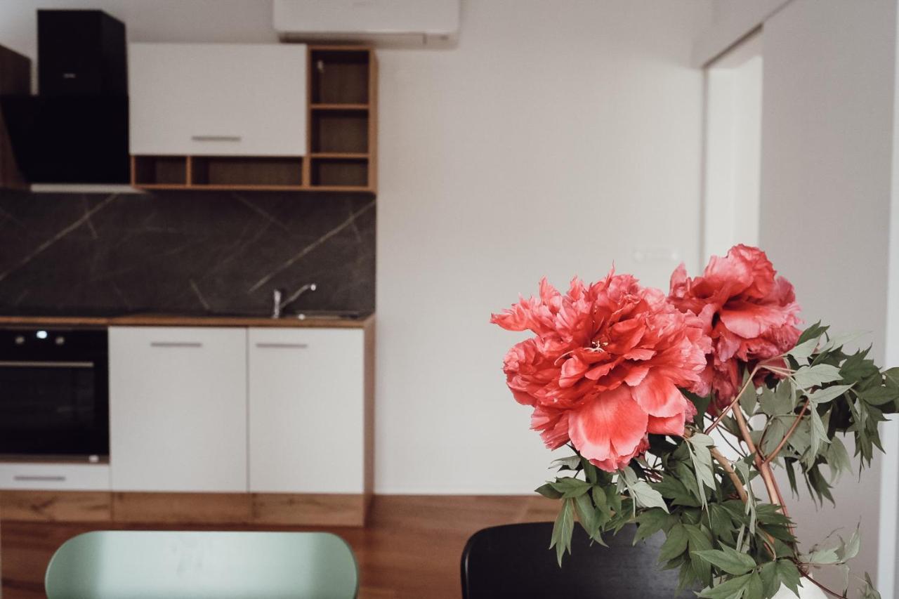 Central Apartment Maister Крань Экстерьер фото